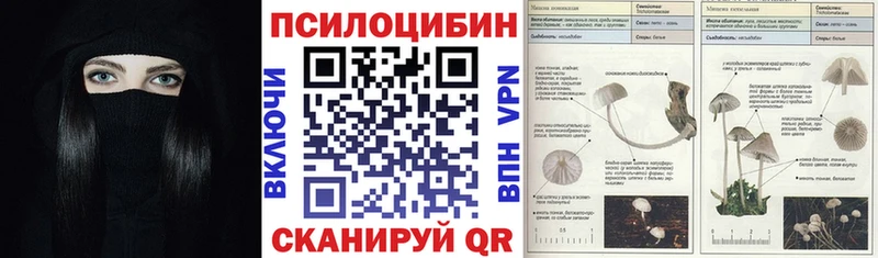 Купить закладки  Краснотурьинск  Псилоцибиновые грибы ЛСД 